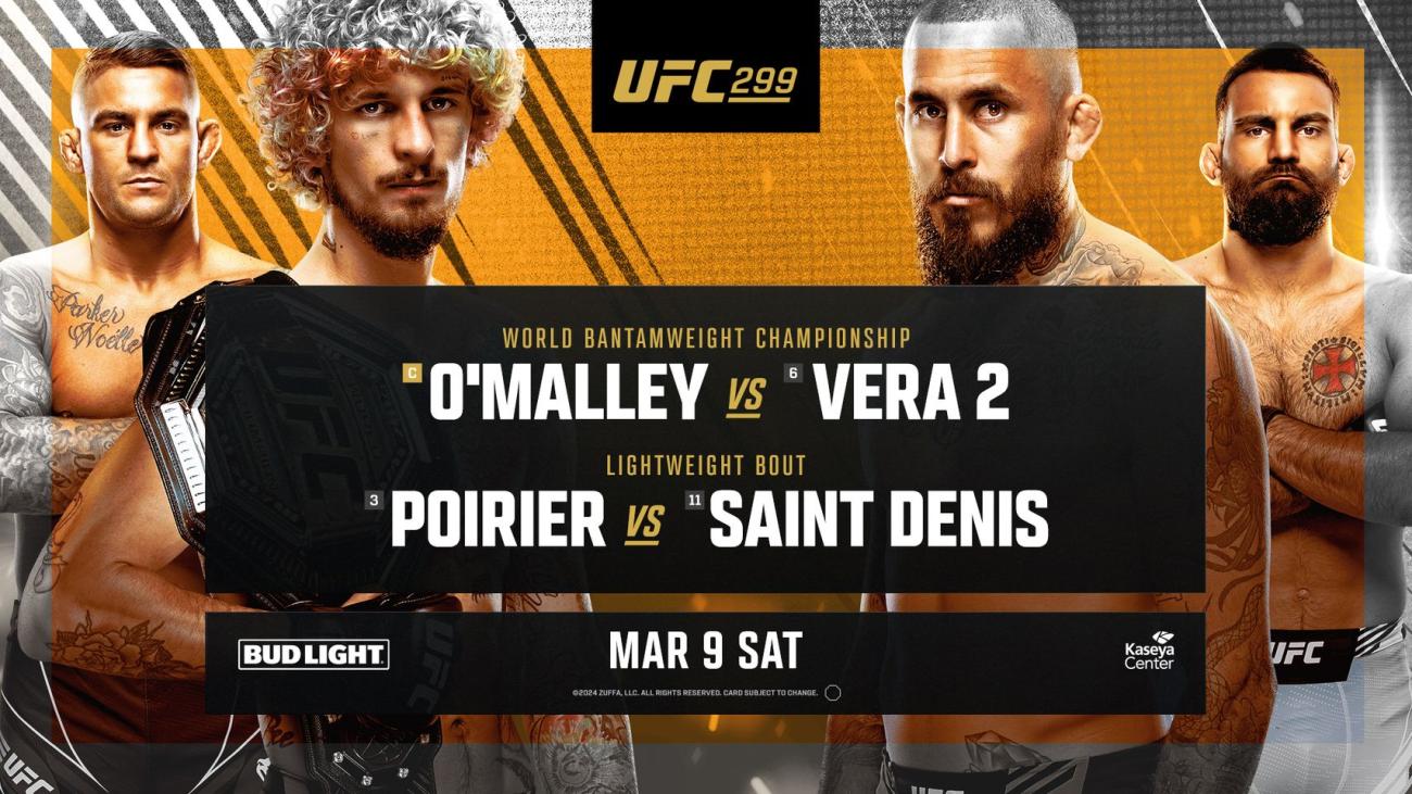 UFC Fight